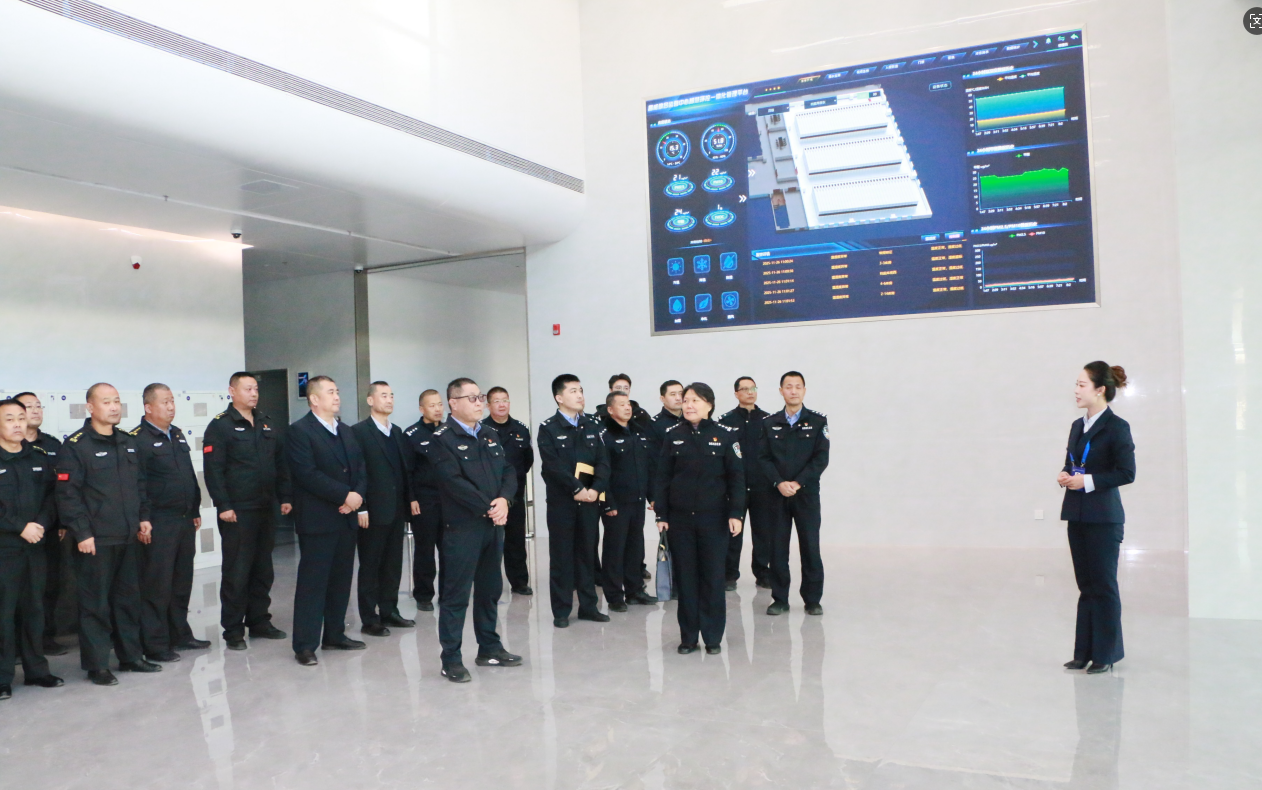 1766022023539704.png 3.png